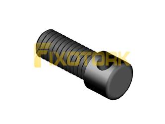 PARAFUSO AXIAL MOD AX 30L10-AX40DIAM1.7