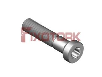 PARAFUSO TORX MOD AM 25L13-AM4008