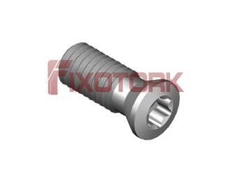 PARAFUSO TORX MOD K 50L13-K6720