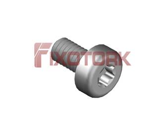 PARAFUSO TORX MOD L 40L10-L8020