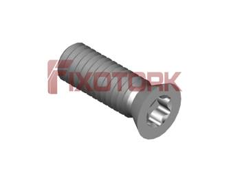 PARAFUSO TORX MOD W 40L11-W5815