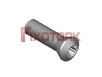 PARAFUSO TORX MOD A 45L15-A6915