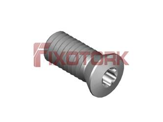PARAFUSO TORX MOD B 60L14-B8520/30°