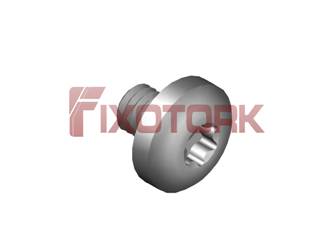 PARAFUSO TORX MOD L 35L65-L8015