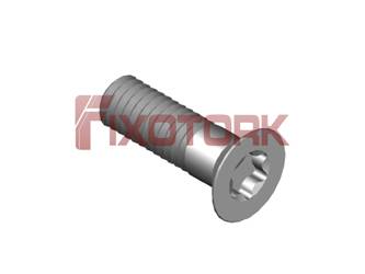 PARAFUSO TORX MOD PL 40L13-PL7220
