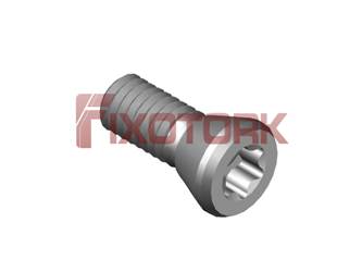 PARAFUSO TORX MOD G 40L11-G6720