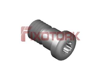 PARAFUSO TORX MOD Y 60L13-Y8520
