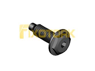 PARAFUSO ALLEN MOD AG 60L22-AG13A10
