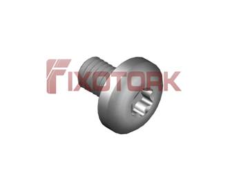 PARAFUSO TORX MOD L 35L75-L8015