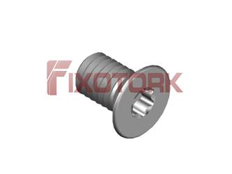 PARAFUSO TORX MOD W 35L55-W6009