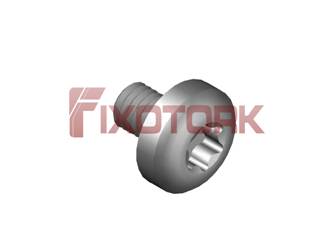 PARAFUSO TORX MOD L 35L75-L8020
