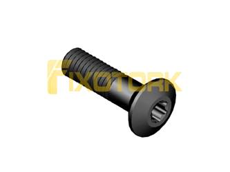 PARAFUSO TORX MOD Y 50L19-Y1020P