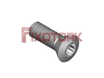 PARAFUSO TORX MOD B 20L60-B3506