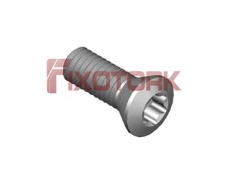 PARAFUSO TORX MOD B 35L10-B6015