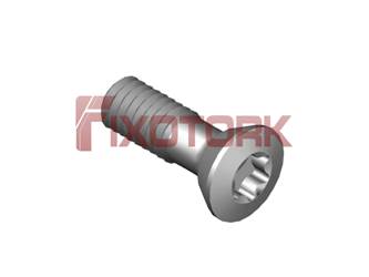 PARAFUSO TORX MOD H 25L75-H4508P