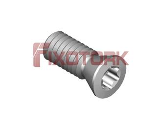 PARAFUSO TORX MOD W 25L63-W3607