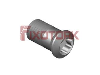 PARAFUSO TORX MOD AM 40L80-AM5215