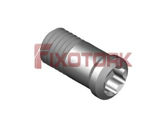 PARAFUSO TORX MOD N 25L53-N2907