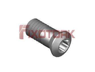 PARAFUSO TORX MOD AM 30L70-AM4308