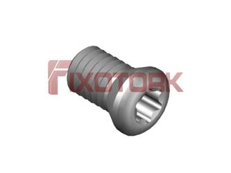 PARAFUSO TORX MOD A 30L54-A4308