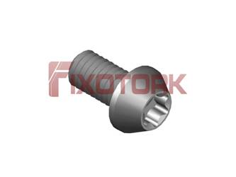 PARAFUSO TORX MOD CC 35L90-CC6215