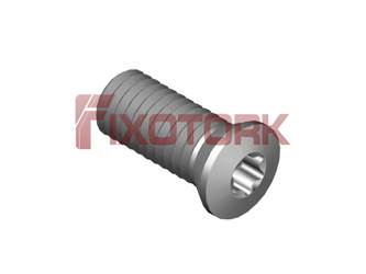 PARAFUSO TORX MOD B 50L12-B7015