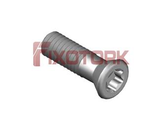 PARAFUSO TORX MOD B 35L11-B5515