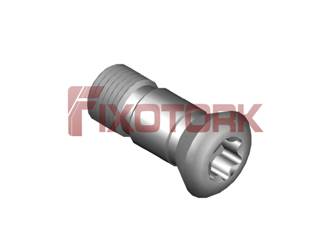 PARAFUSO TORX MOD AM 50L13-AM7520