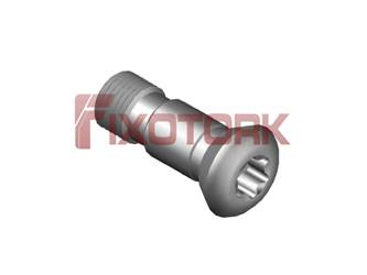 PARAFUSO TORX MOD AM 50L15-AM8020