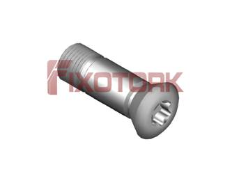 PARAFUSO TORX MOD AM 80L24-AM1230