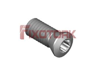 PARAFUSO TORX MOD B 50L12-B7020