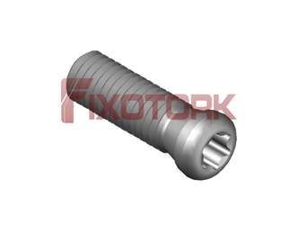 PARAFUSO TORX MOD H 50L17-H6520
