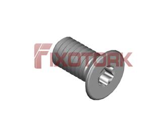 PARAFUSO TORX MOD W 35L71-W5809
