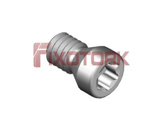PARAFUSO TORX MOD A 25L50-A3608