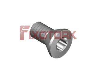 PARAFUSO TORX MOD B 25L50-B4508