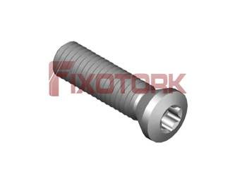 PARAFUSO TORX MOD B 50L19-B7220