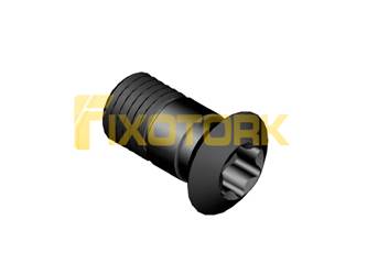 PARAFUSO TORX MOD AM 40L85-AM6015