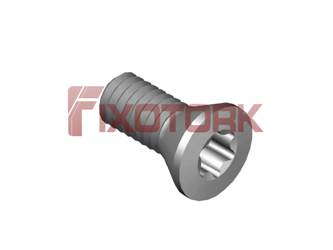 PARAFUSO TORX MOD B 25L60-B4508