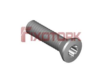 PARAFUSO TORX MOD B 25L10-B4508