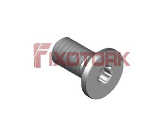 PARAFUSO TORX MOD W 60L12-W1125
