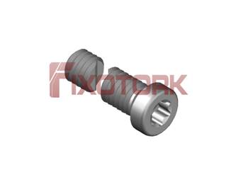 PARAFUSO TORX MOD A 40L22-A5815