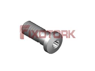 PARAFUSO TORX MOD Z 60L16-Z9220