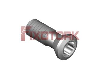 PARAFUSO TORX MOD G 35L10-G5215
