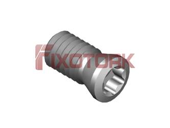 PARAFUSO TORX MOD B 40L80-B5015