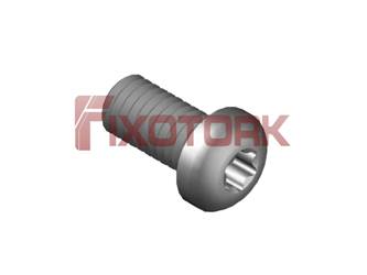 PARAFUSO TORX MOD L 60L15-L9825