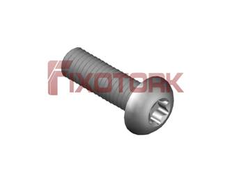 PARAFUSO TORX MOD L 50L19-L9525