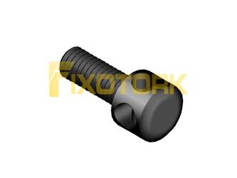 PARAFUSO AXIAL MOD AX 30L12-AX55DIAM2.7