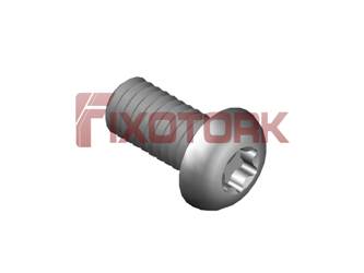 PARAFUSO TORX MOD L 40L10-L7015