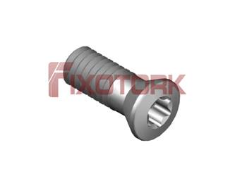 PARAFUSO TORX MOD B 25L67-B3907