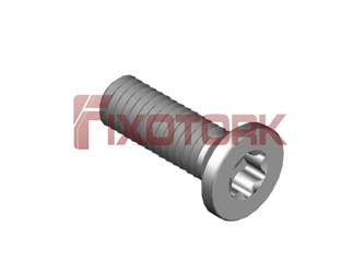 PARAFUSO TORX MOD W 50L15-W8525